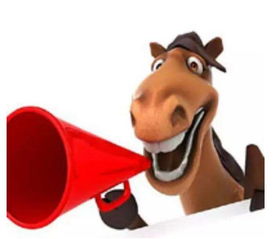 晴美互动荣获绵阳网站建设前十强，深耕互联网接入服务领域